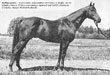 Antiquarian