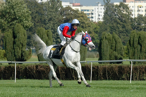 Dziki Zachód 08.10.2006