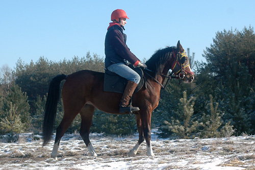 Masza i Jurek