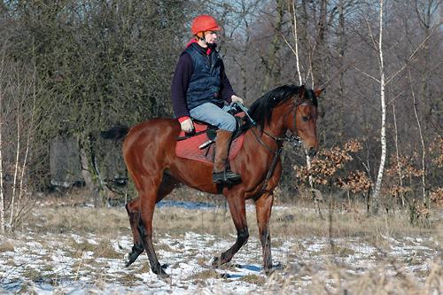 Amis i Jurek
