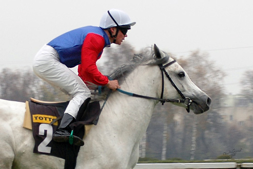 Cezar Wielki 11.11.06