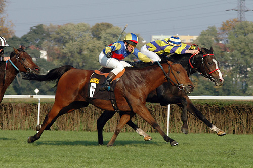Don Miguel 21.10.06