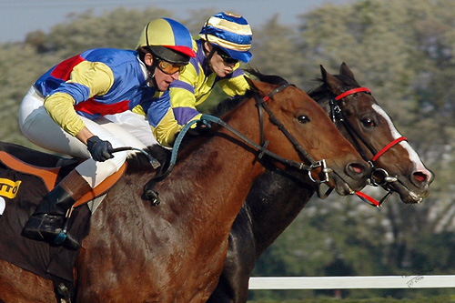 Don Miguel 21.10.06