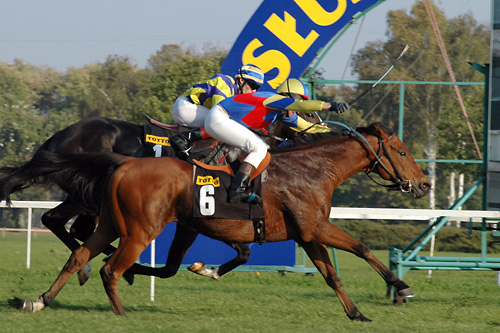 Don Miguel 21.10.06