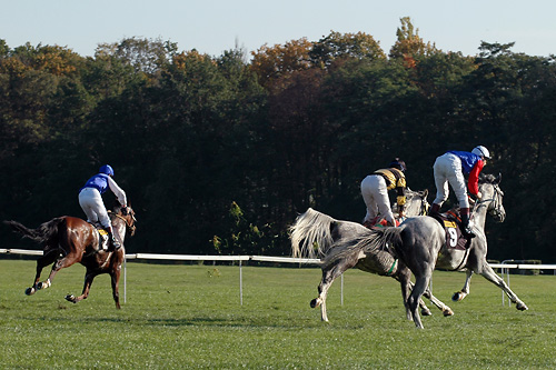 Zafir 22.10.06